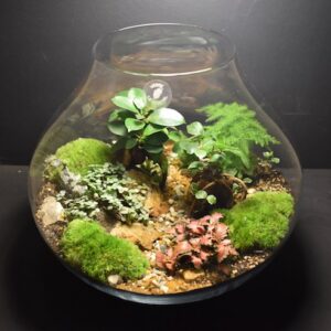 Mini-jardin Goutte d'eau T-537 prix 175 € (Vendu)