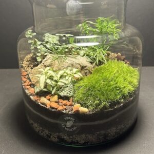 Mini-jardin T-573 (Vendu)