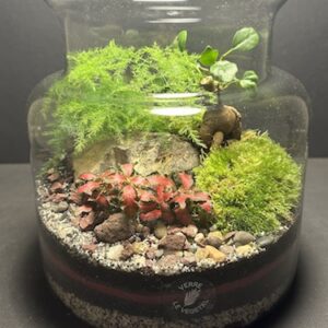 Mini-jardin T-574 (Vendu)