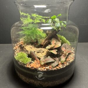 Mini-jardin T-575 (Vendu)