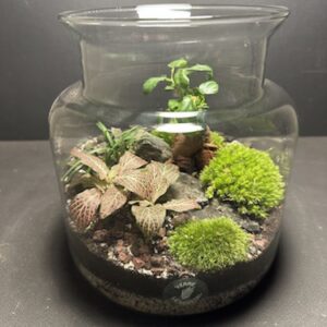 Mini-jardin T-576 (Vendu)