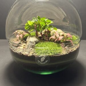 Mini-jardin Sphère T-578 (Vendu)