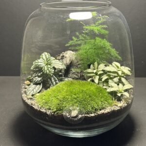 Mini Jardin T-582 (Vendu)