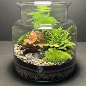 Mini Jardin T-584 (Vendu)