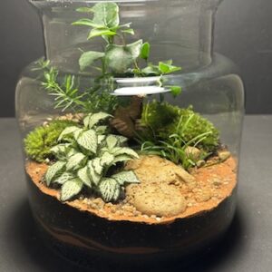 Mini Jardin T-585 (Vendu)