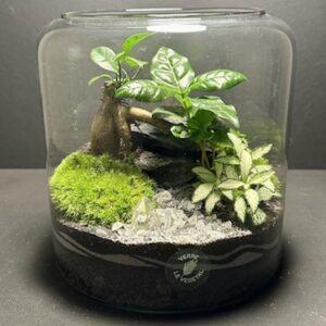 Mini Jardin T-587 (Vendu)