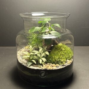 Mini Jardin T-592 (Vendu)