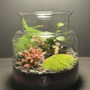 Mini Jardin T-593 prix 55 € (Vendu)