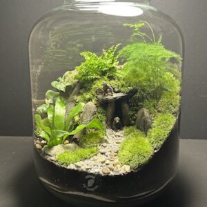 Mini Jardin T-597 prix 140 € (Vendu)