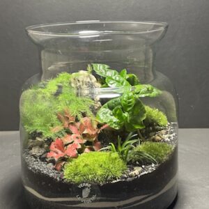 Mini Jardin T-604 prix 55 € (Vendu)