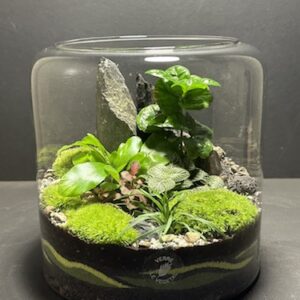 Mini Jardin T-607 prix 60 € (Vendu)