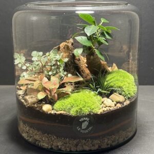 Mini Jardin T-606 prix 65 € (Vendu)