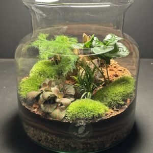 Mini Jardin T-621 prix 55 € (Vendu)