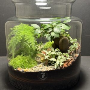 Mini Jardin T-623 prix 110 € (Vendu)