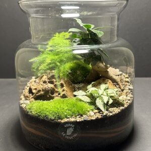 Mini Jardin T-627 prix 55 € (Vendu)