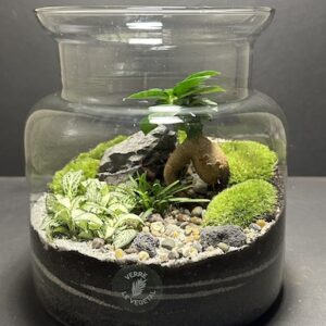 Mini Jardin T-628 prix 55 € (Vendu)