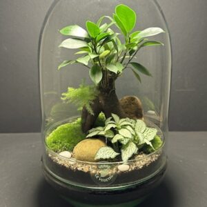 Mini Jardins T-633 prix 85 € (Vendu)