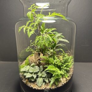 Mini Jardins T-634 prix 85 € (Vendu)