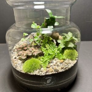 Mini Jardin T-637 prix 55 € (Vendu)