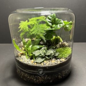 Mini Jardin T-636 prix 60 € (Vendu)