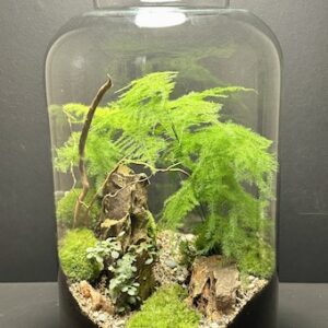 Mini Jardin T-639 prix 140 € (Vendu)