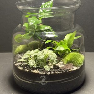 Mini Jardin T-642 prix 55 € (Vendu)