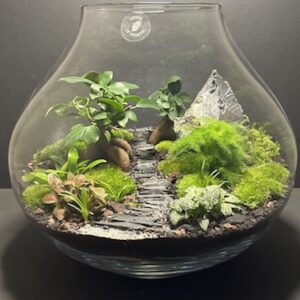 Mini Jardin T-646 prix 190 € (Vendu)