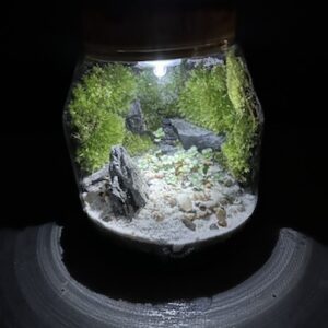 Mossarium T-650 prix 60 € (Vendu)
