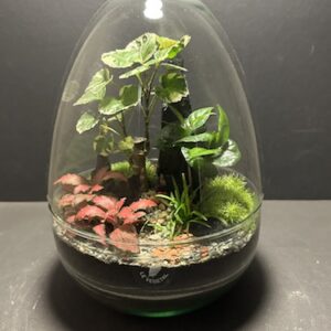 Mini-jardin Oeuf T-659 prix 75 € (Vendu)