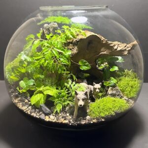 Mini-jardin Scène "La tanière du loup" T-657 (Vendu)