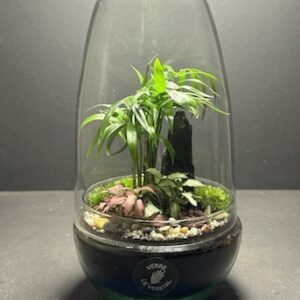 Mini-jardin T-661 prix 45 € (Vendu)