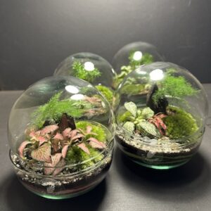 Mini sphères prix 35 €