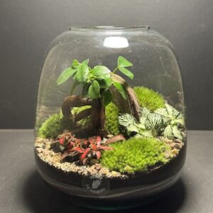 Mini-jardin T-665 prix 65 € (Vendu)