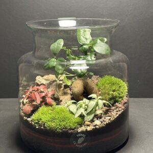 Mini-jardin T-667 prix 60 € (Vendu)