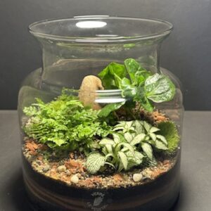 Mini-jardin T-672 prix 55 € (Vendu)