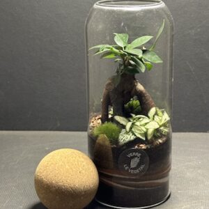 Mini-jardin Boule liège prix 40 €