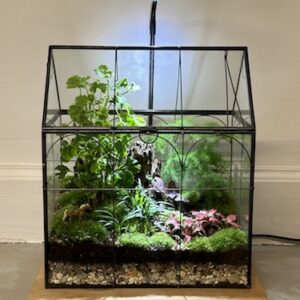 Mini-jardin T-681 Maison en verre prix 115 € (Vendu)