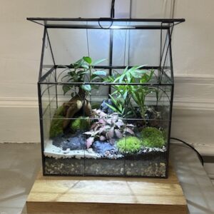 Mini-jardin T-685 Maison en verre prix 125 € (Vendu)