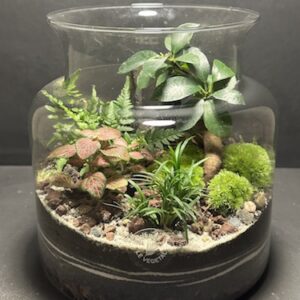 Mini-jardin T-690 prix 55 € (Vendu)