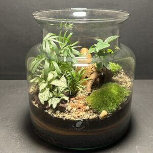 Mini-jardin T-691 prix 55 € (Vendu)
