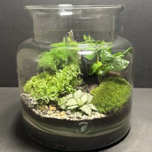 Mini-jardin T-694 prix 50 € (Vendu)