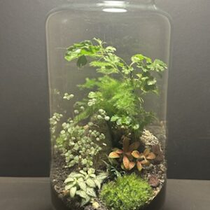 Mini-jardin T-695 prix 110 €