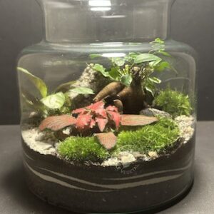 Mini-jardin T-699 prix 55 € (Vendu)