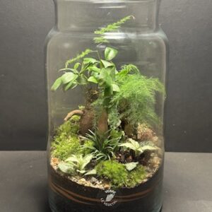 Mini-jardin T-701 prix 75 € (Vendu)