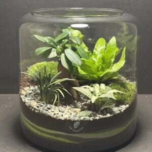 Mini-jardin T-704 prix 65 € (Vendu)