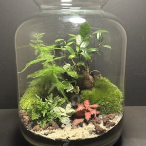 Mini-jardin T-707 (Vendu)