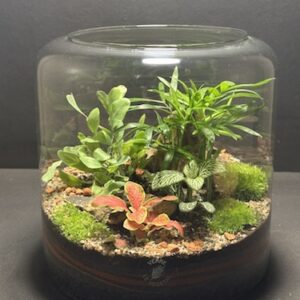 Mini-jardin T-714 prix 65 € (Vendu)