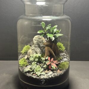 Mini-jardin T-716 prix 80 € (Vendu)