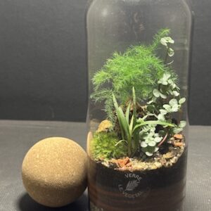 Mini-jardin T-720 prix 30 € (Vendu)