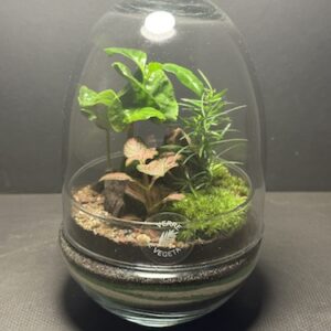 Mini-jardin T-728 prix 40 € (Vendu)